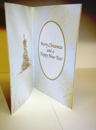 Christmas Insert #21 by Tracey Duckmanton