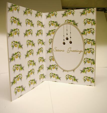 Christmas Insert #24 by Tracey Duckmanton