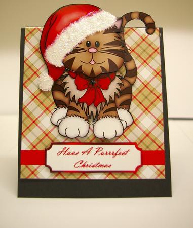 A Purrfect Christmas Over the Edge by Tracey Duckmanton