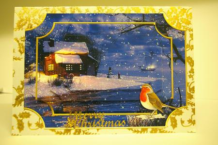 Christmas Snow Scene Pyramage by Tracey Duckmanton