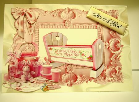 Gorgeous Baby Girls Crib & Hamper by Tracey Duckmanton