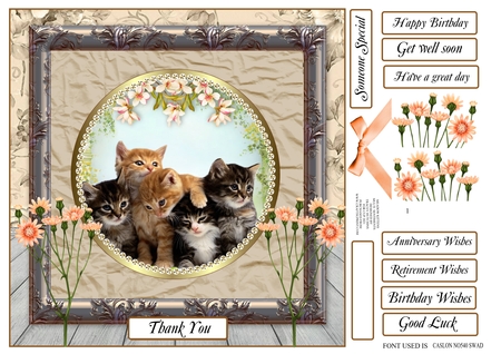 Spring Cat Plates by Tracey Hutchins