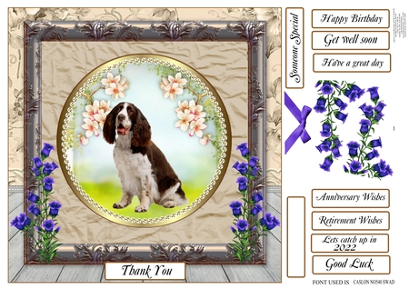 Spring Dog Plates  by Tracey Hutchins