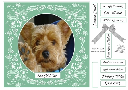 21 Sweet Frames 2 by Tracey Hutchins