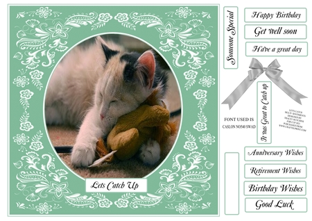 21 Sweet A5 Frames by Tracey Hutchins