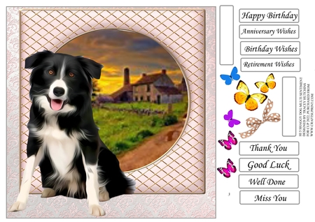 Pet Portraits 9  by Tracey Hutchins