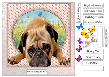 Pet Portraits 11 by Tracey Hutchins