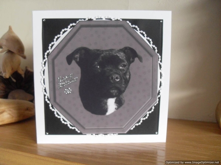 Staffordshire Bull Terrier Plaque & Stand by Tracey Hutchins