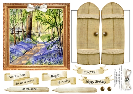 Bluebell Woods by Tracey Hutchins