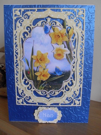 Spring Daffodils by Tracey Hutchins