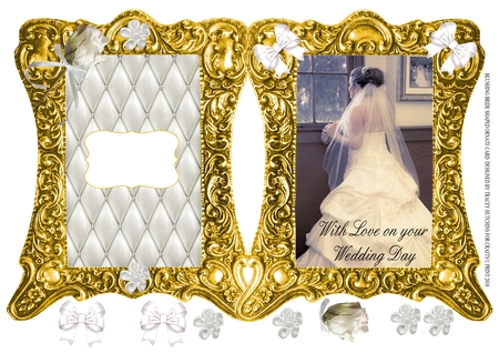 Victorian Frames by Tracey Hutchins