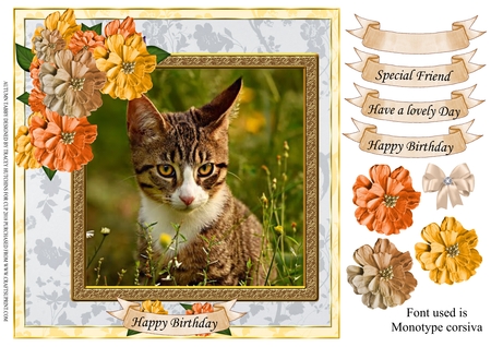 Pretty Flower Bundle  by Tracey Hutchins