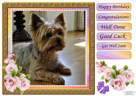 Pink Mix Floral Vignette by Tracey Hutchins