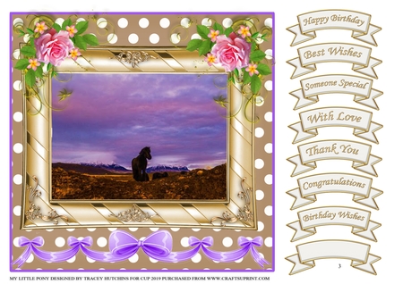 Metallic Frames by Tracey Hutchins