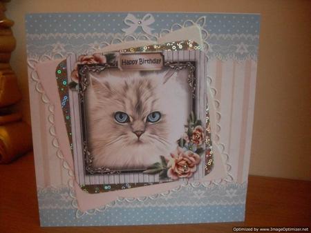 Blue Eyes by Tracey Hutchins