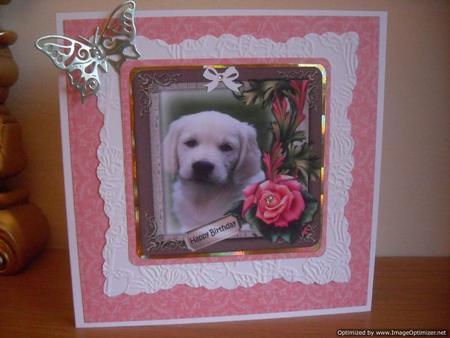 Bumperkit Puppys & Kittens by Tracey Hutchins