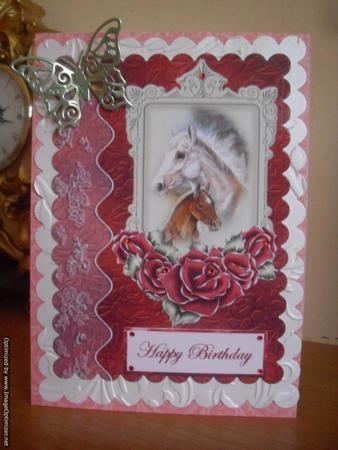 Horses Card Front by Tracey Hutchins