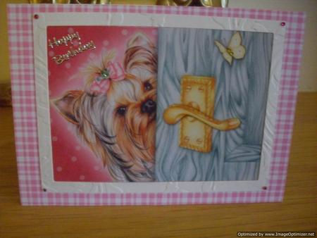 Peek a Boo Yorkshire Terrier Decoupage by Tracey Hutchins