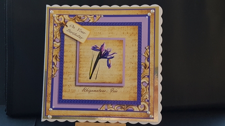 Wonderous Iris by Tracey Hutsby