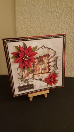 Christmas window by Tracey Hutsby