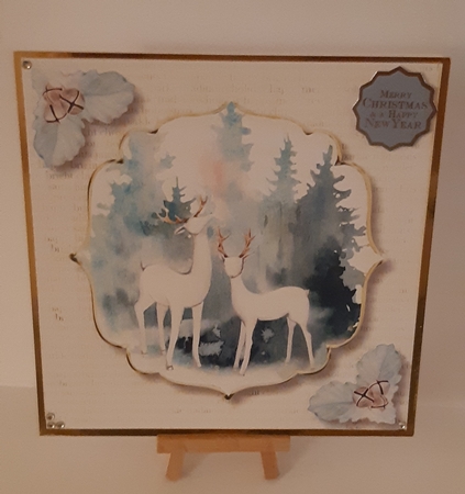 White & Gold - Pure White Stags 8x8 by Tracey Hutsby