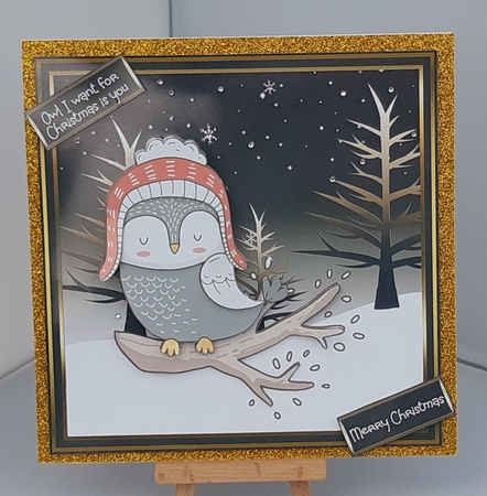 Owl I want  for Christmas by Tracey Hutsby