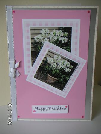 White Agapanthus Faux Twisted Pyramid Design Sheet by Tracey Hutsby