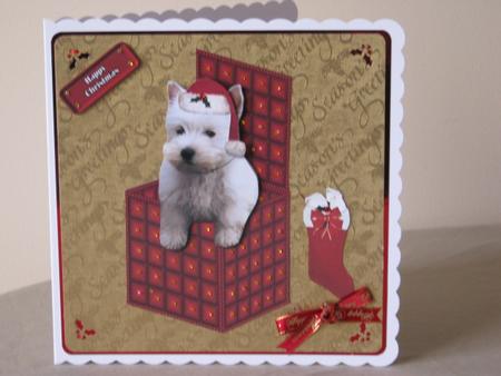 Westie in a Christmaxs Box by Tracey Hutsby
