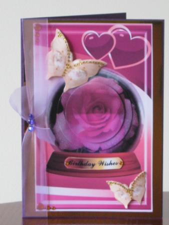 Globe Rose by Tracey Hutsby