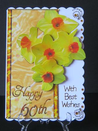 Daffodils by Tracey Hutsby