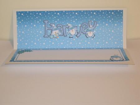 Xmas Harvey Matching Large Dl Insert by Tracey Hutsby