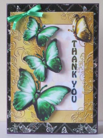 Butterfly Thank You by Tracey Hutsby