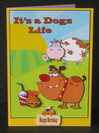 It's a Dogs Life by Tracey Hutsby