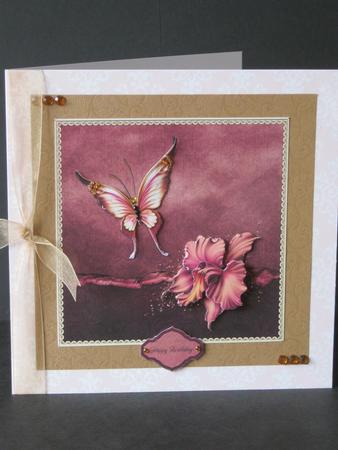 Orchid and Butterfly by Tracey Hutsby