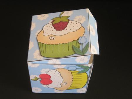 All in One Gift Box - Cupcakes by Tracey Hutsby