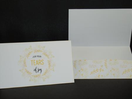 Cut and Fold Tissue Holder Envelope Card 2 by Tracey Hutsby