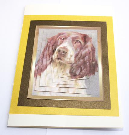 Spaniel Spiral Pyramid Card Topper by Tracey Mowbray