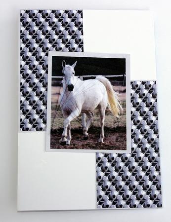 White Horse by Tracey Mowbray