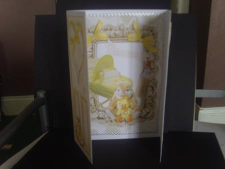 Sweet Baby Girl/boy in Lemon, Gatefold by Tracey Richardson