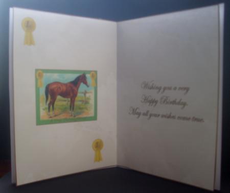 Horse Thoroughbred Insert by Tracey Richardson