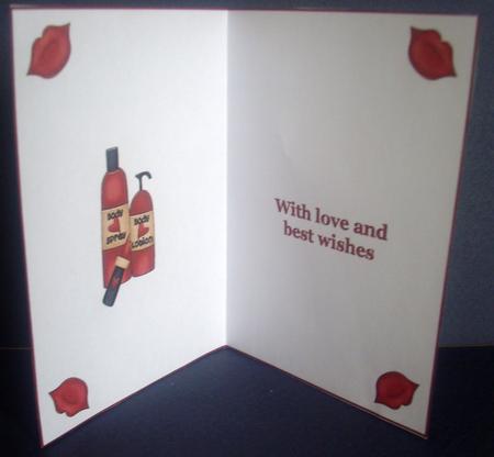 Ladies Accessories Insert by Tracey Richardson
