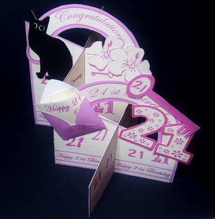 21st Birthday (pink) Cascade Deluxe by Tracey Richardson