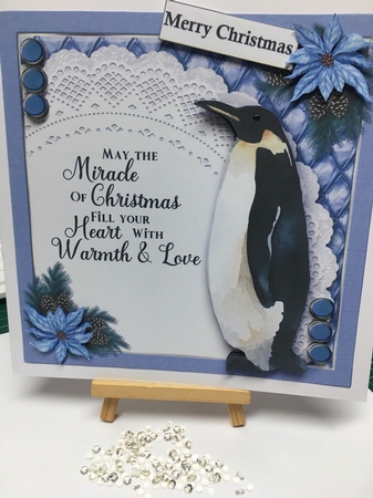 Northern Christmas 1 by Tracey Drage-Baillie