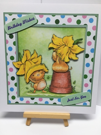 Daffodil Fun  by Tracey Drage-Baillie