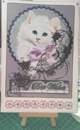 Bumper Kit- Assorted So Cute Animal Card Designs by Tracey Drage-Baillie