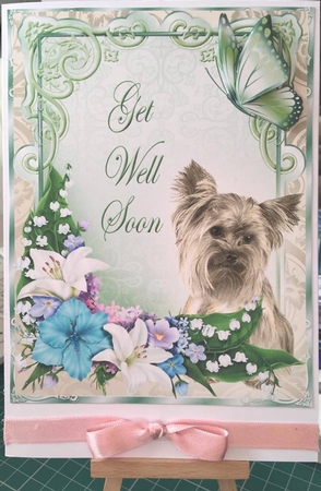 Bumper Kit- Assorted So Cute Animal Card Designs by Tracey Drage-Baillie