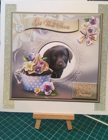 Bumper Kit- Assorted So Cute Animal Card Designs by Tracey Drage-Baillie