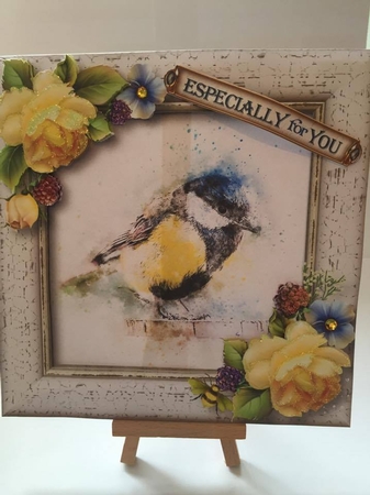 Beautiful Blue Tit by Tracey Drage-Baillie