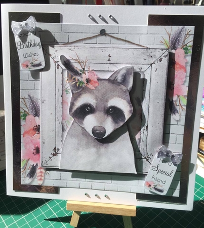 The Little Raccoon by Tracey Drage-Baillie