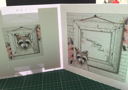 The Little Raccoon by Tracey Drage-Baillie